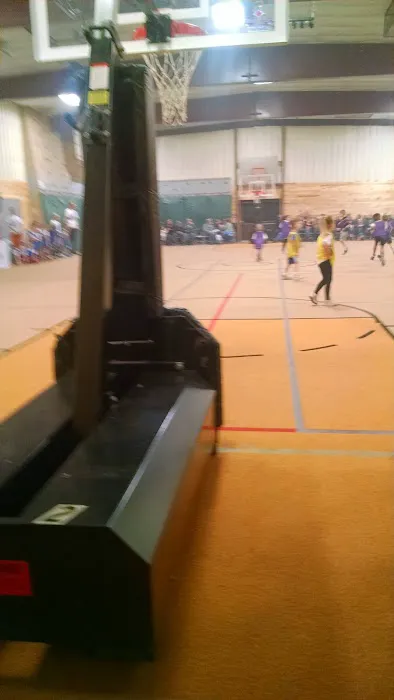Brown Gymnasium Picture 7