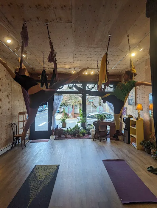 Mountaindale Yoga & Wellness Picture 2