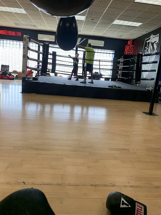New Breed Boxing Training Picture 3