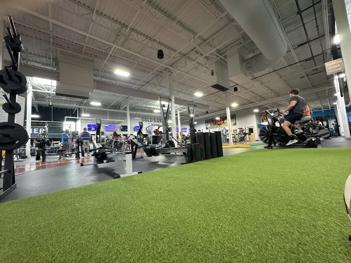 Gold's Gym Picture 8