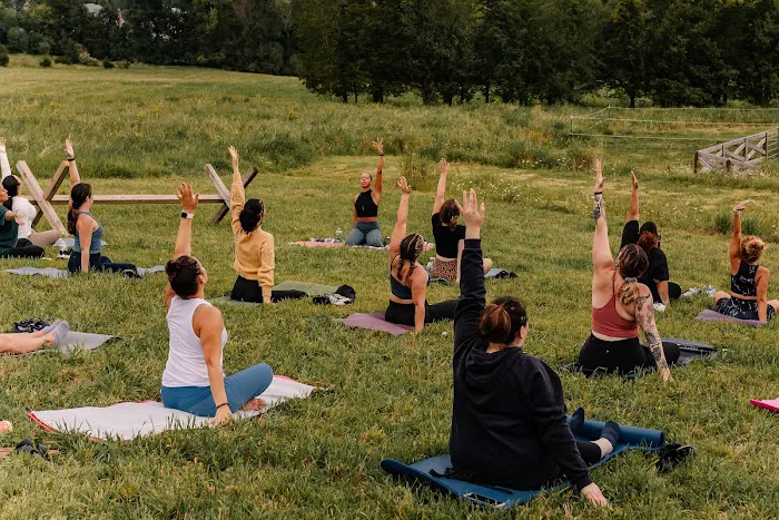 Align With Flow Yoga Picture 3
