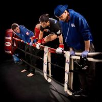 The Institute Muay Thai ico