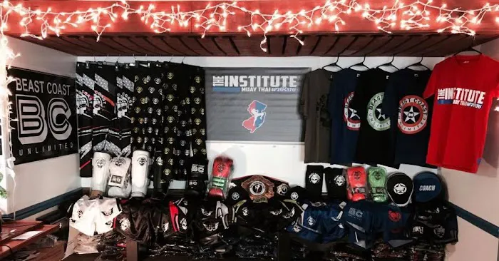 The Institute Muay Thai Picture 3