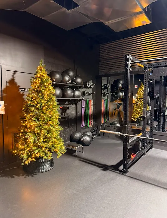 The Garage Gym Picture 1