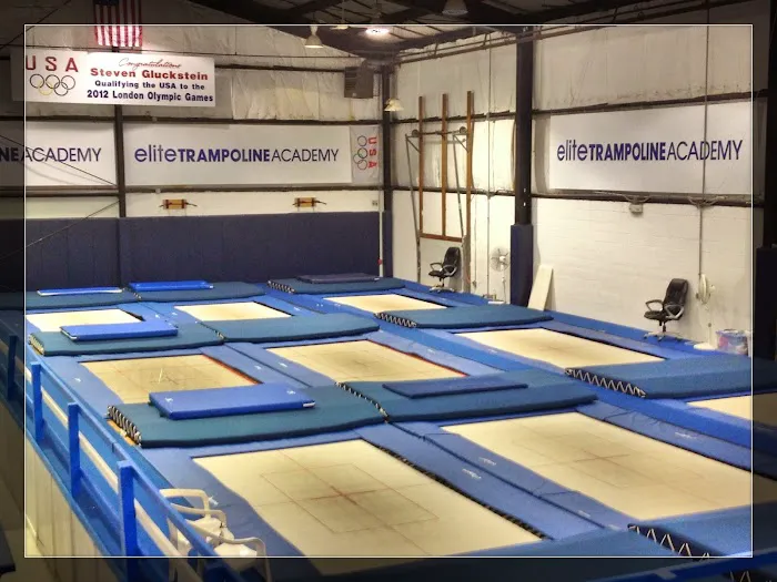 Elite Trampoline Academy Picture 8