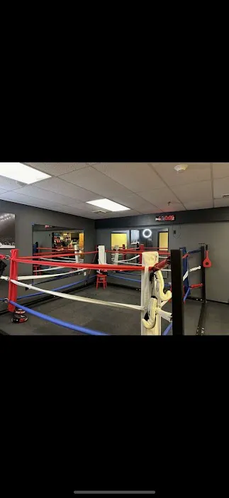 Marino boxing Picture 6