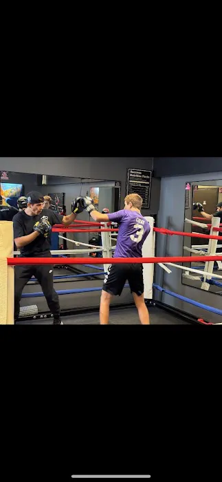 Marino boxing Picture 4