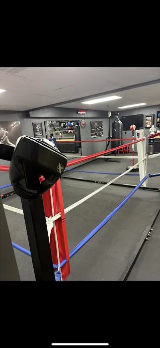 Marino boxing Picture 8