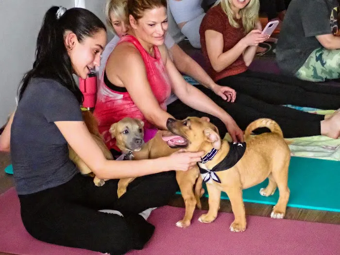 Purpose Yoga Picture 8