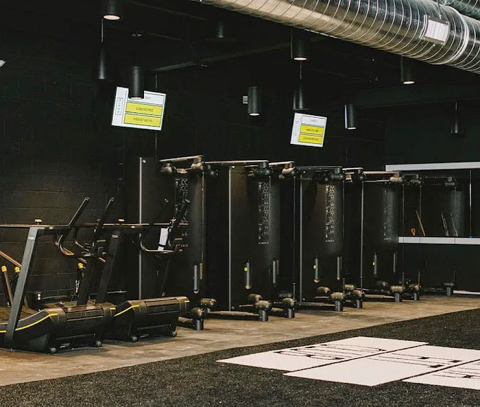 Alpha Fit Club Picture 9