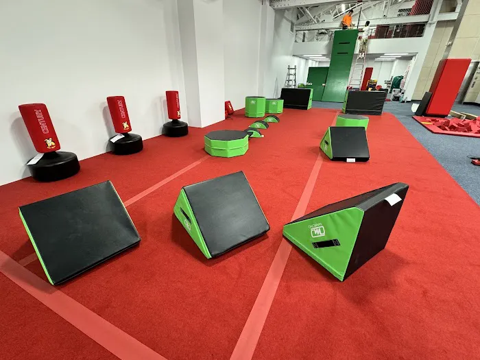 Gold Medal Gymnastics & Ninja Picture 10
