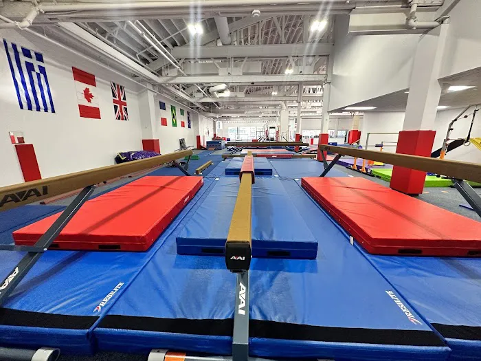 Gold Medal Gymnastics & Ninja Picture 3