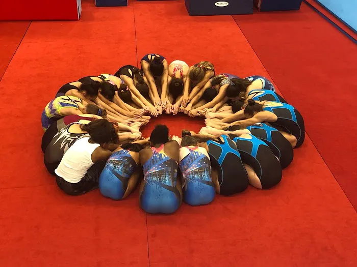 CAVU Trampoline & Tumbling Picture 8