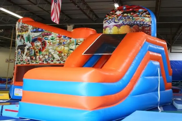 Go for the Gold Gymnastics Academy Picture 8