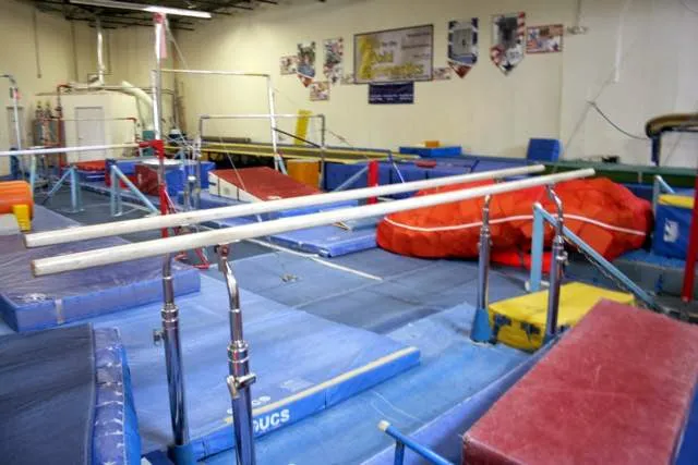 Go for the Gold Gymnastics Academy Picture 5
