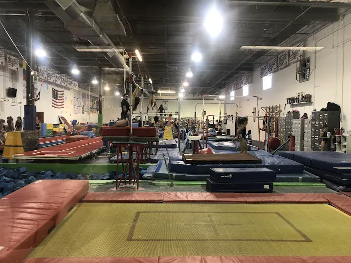 Go for the Gold Gymnastics Academy Picture 3