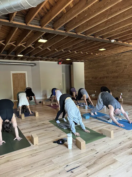 Samata Yoga Studio Picture 6