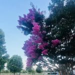 The Fit Room at Fairgrounds Park