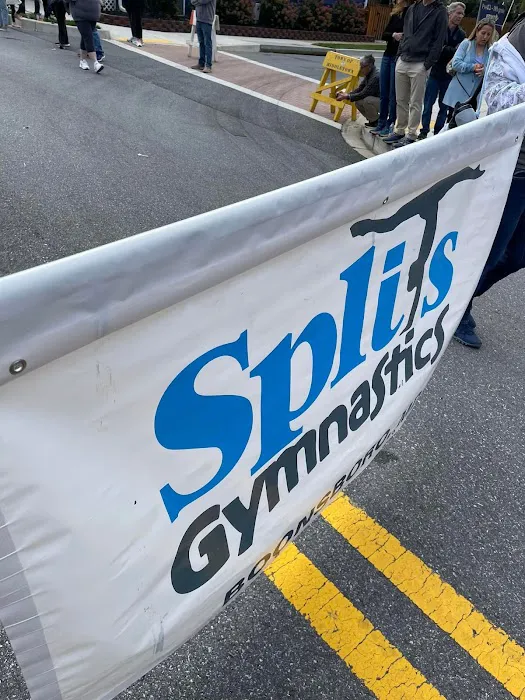 splits gymnastics Picture 3