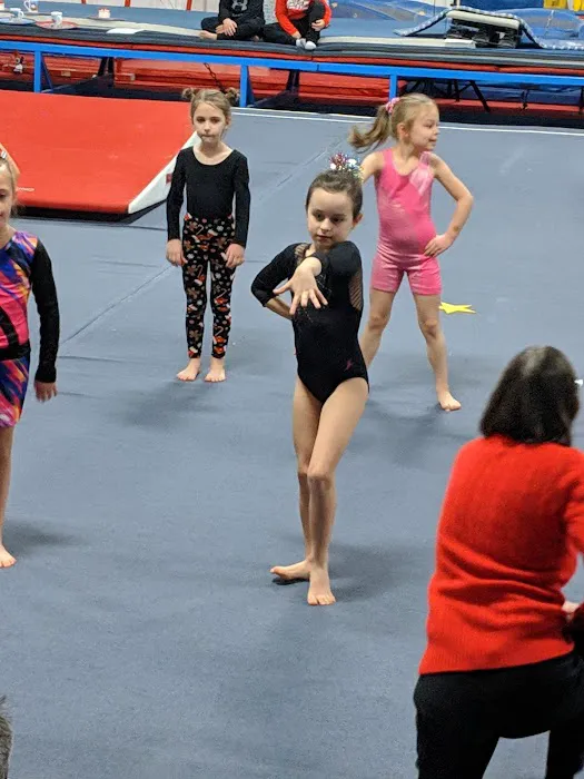 Uzelac Gymnastics Picture 1