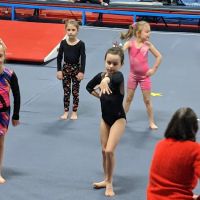 Uzelac Gymnastics ico