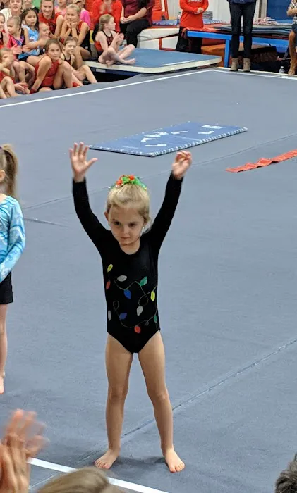 Uzelac Gymnastics Picture 2