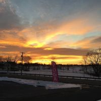 Yoga Blend of Mercersburg ico
