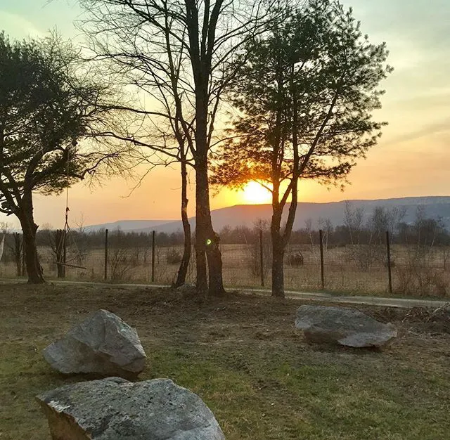 Stone Wave Yoga Picture 6