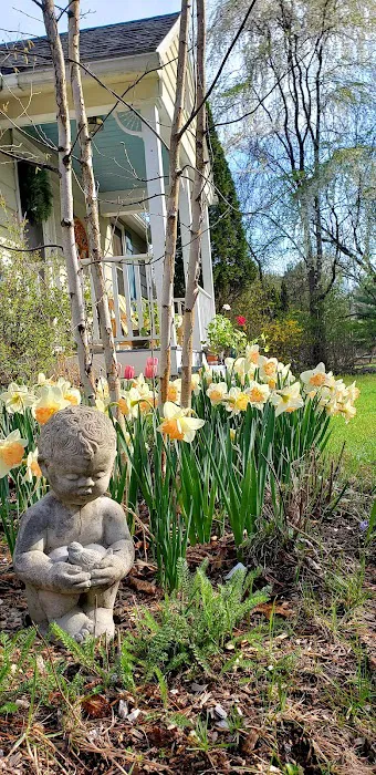Yoga Artist Retreat & Dream Theater Picture 1