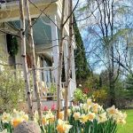 Yoga Artist Retreat & Dream Theater