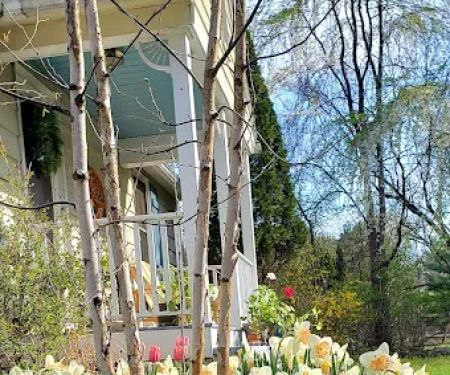 Yoga Artist Retreat & Dream Theater