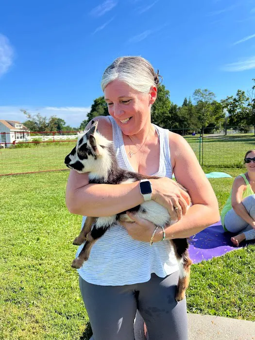 Brookhollows Goat Yoga Picture 4