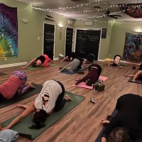 Selfless Love Yoga & Spiritual Wellness ico