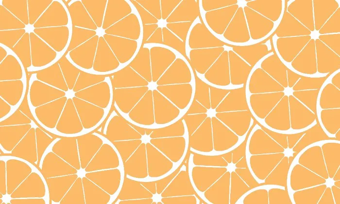 Clementine Studio Picture 7
