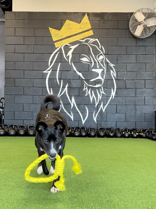 KING Strength Picture 8