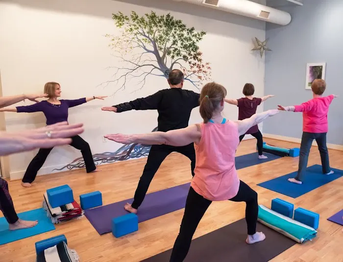 Mountain Spirit Yoga Picture 1