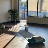 Mohalu Wellness ico