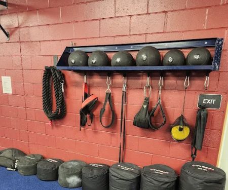 Evolution Gym