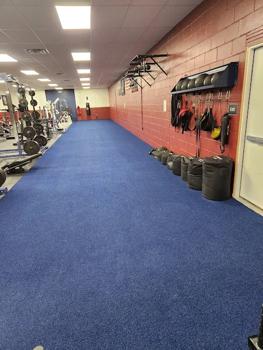 Evolution Gym Picture 9
