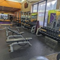 MC-FIT ico