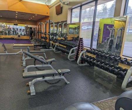 MC-FIT