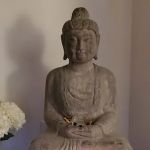 The Living Seed Yoga & Holistic Health Center