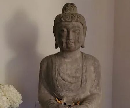 The Living Seed Yoga & Holistic Health Center