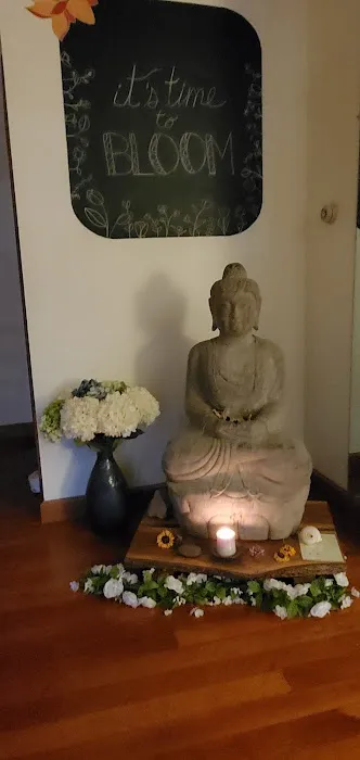 The Living Seed Yoga & Holistic Health Center Picture 3
