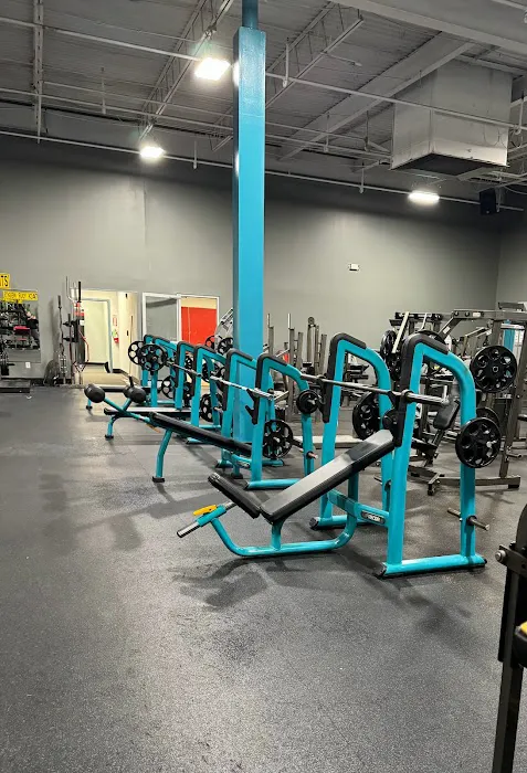 Fitt4Life ProGym Picture 10