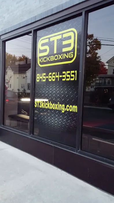 ST3 Kickboxing Picture 2