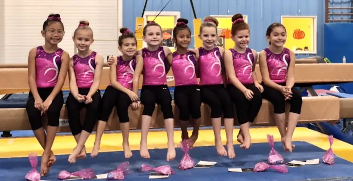 World Gymnastics Academy Picture 4