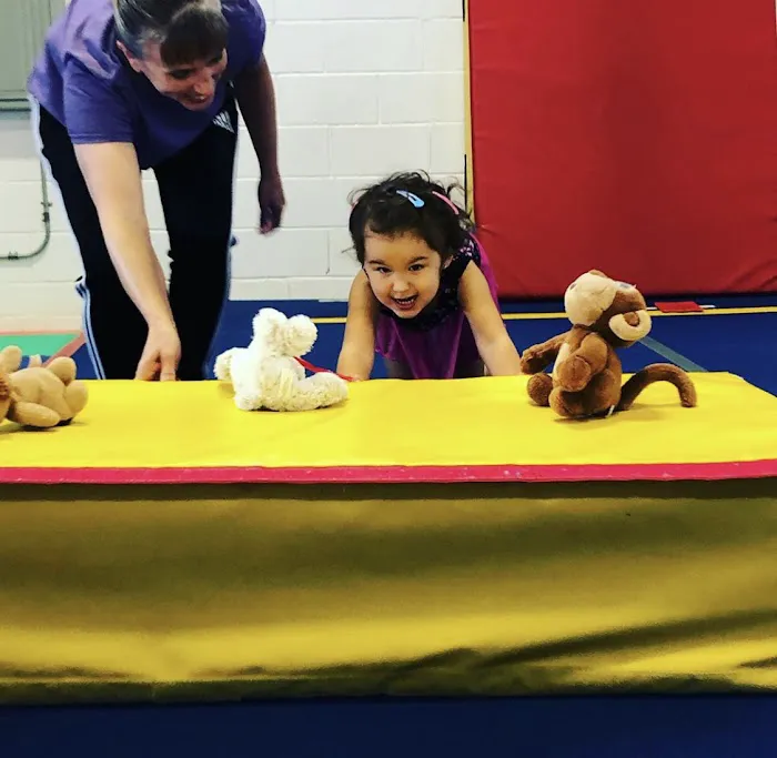 World Gymnastics Academy Picture 7