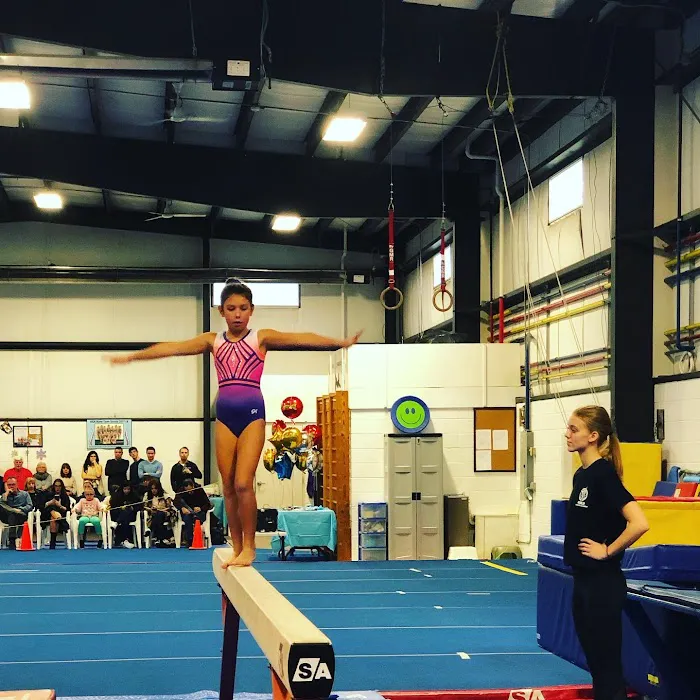 World Gymnastics Academy Picture 3