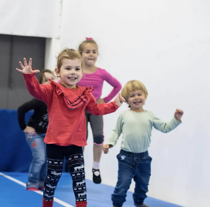 World Gymnastics Academy Picture 2